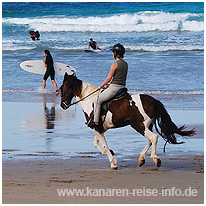 kanaren, reiten, strand